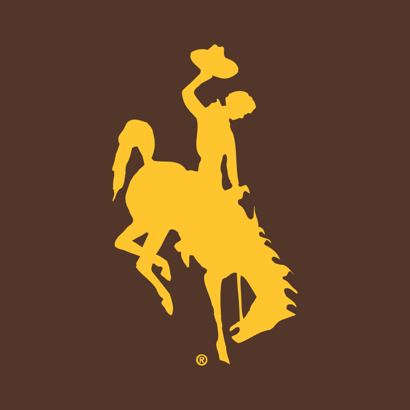 Wyoming Cowboys 2006-Pres Alternate Logo v2 diy DTF decal sticker